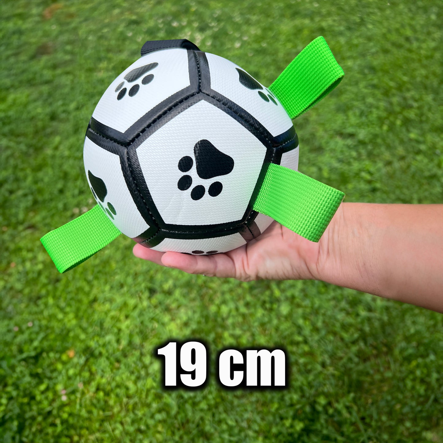 Jouet Interactif pour Chien - Ballon de Football Gonflable 19 cm