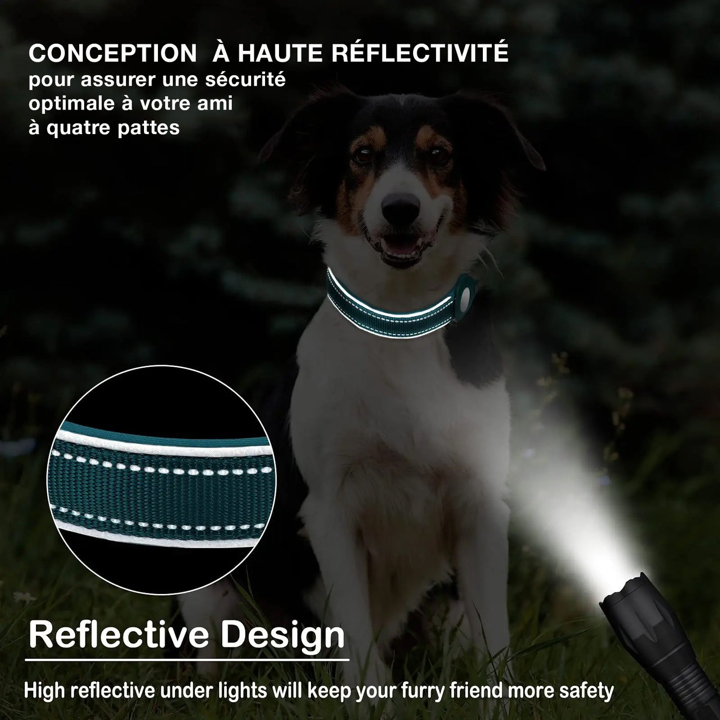 Collier pour chien  accessoires Airtag