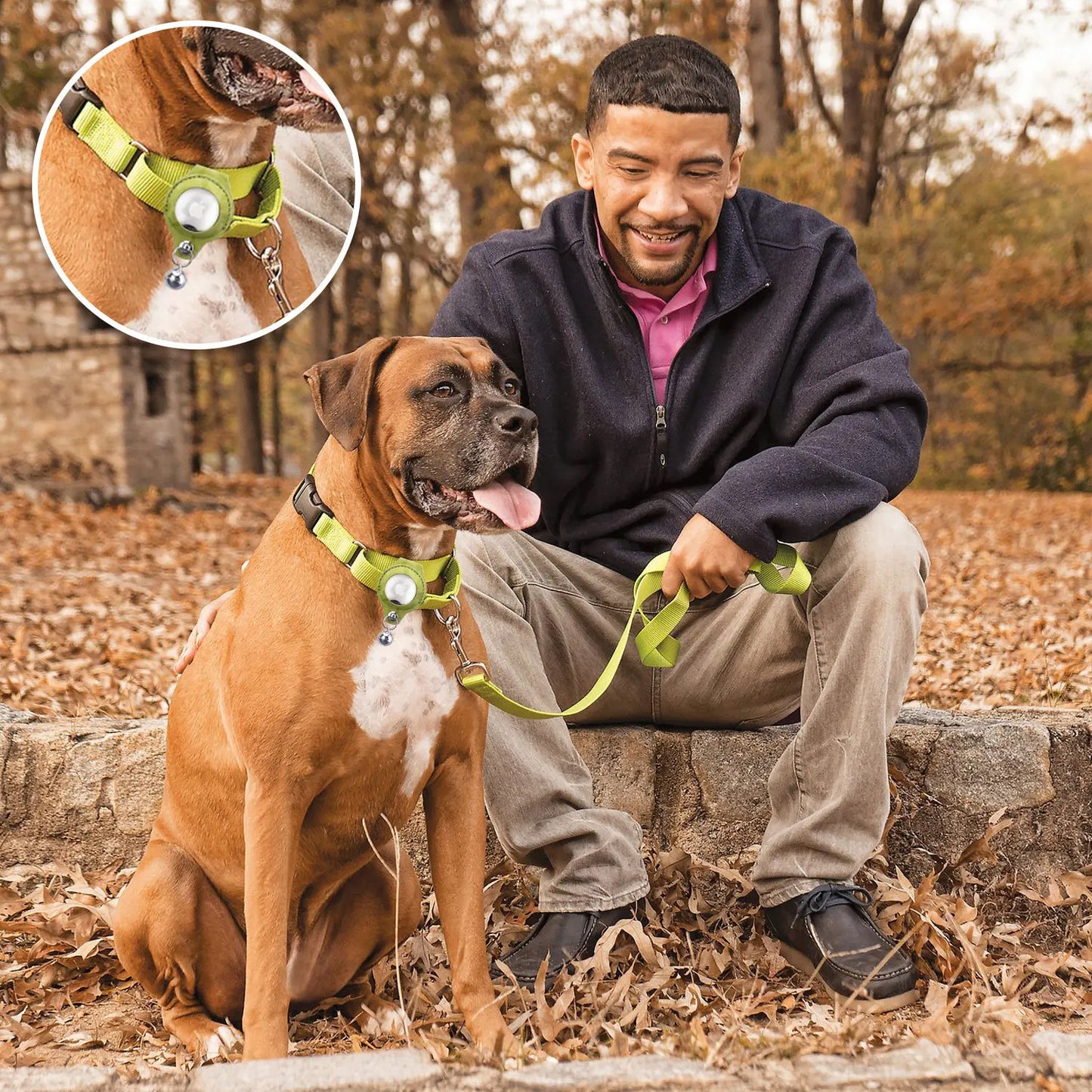 Collier pour chien  accessoires Airtag