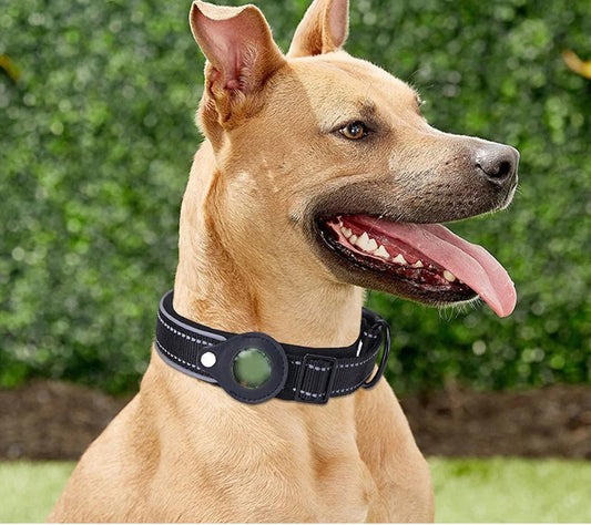 Collier pour chien  accessoires Airtag