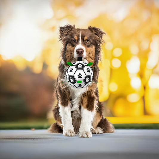 Jouet Interactif pour Chien - Ballon de Football Gonflable 19 cm