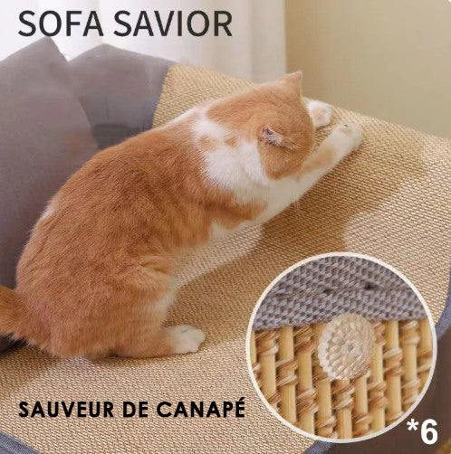 Tapis de protection anti-rayures pour chat