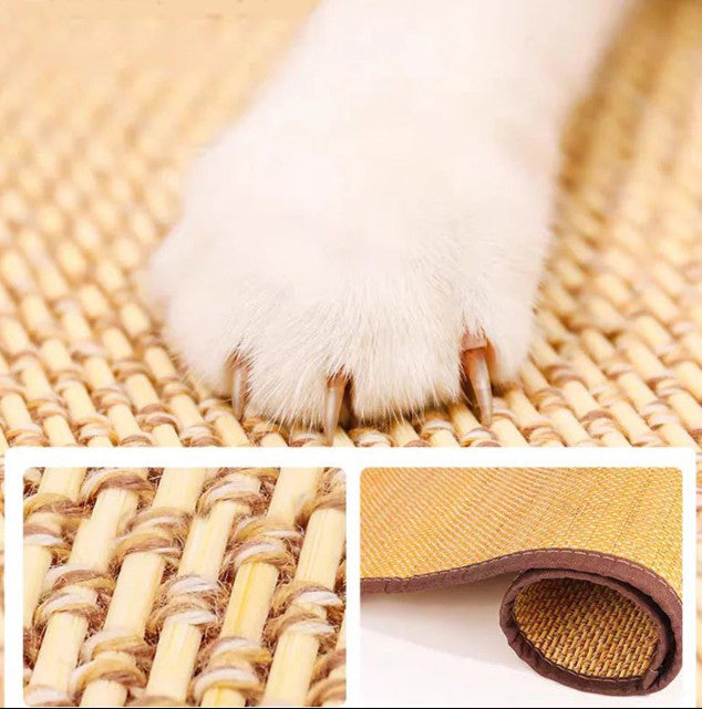 Tapis de protection anti-rayures pour chat